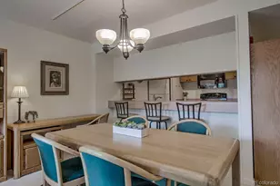 22097 Saints John Rd, Dillon, CO 80435 - Photo 7