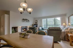 22097 Saints John Rd, Dillon, CO 80435 - Photo 9