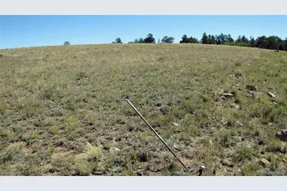 1198 Wagon Wheel Road, Hartsel, CO 80449 - Photo 11