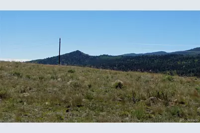 1198 Wagon Wheel Road, Hartsel, CO 80449 - Photo 15