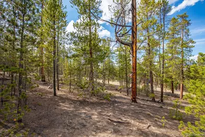 198 Lodgepole Drive, Leadville, CO 80461 - Photo 11