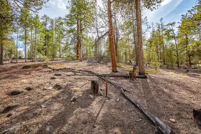 198 Lodgepole Drive, Leadville, CO 80461 - Photo 13