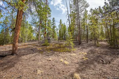 198 Lodgepole Drive, Leadville, CO 80461 - Photo 15