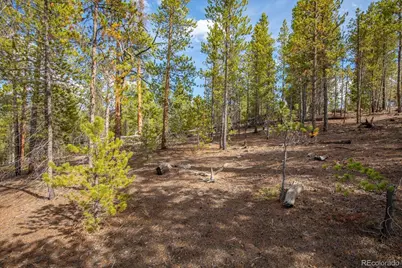 198 Lodgepole Drive, Leadville, CO 80461 - Photo 9