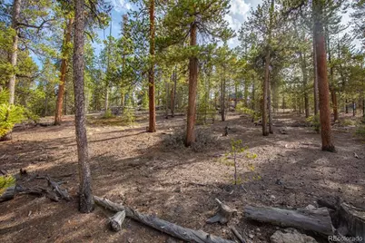 198 Lodgepole Drive, Leadville, CO 80461 - Photo 7
