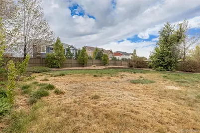 218 Ardmore Street, Castle Rock, CO 80104 - Photo 39