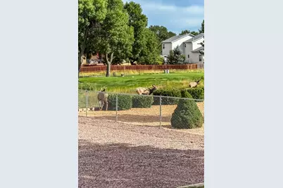 293 W Hahns Peak Avenue, Pueblo West, CO 81007 - Photo 41