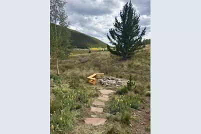 141 Quartzville Road, Alma, CO 80420 - Photo 47