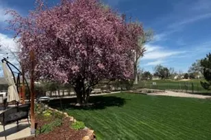 930 Reed Ct, Lakewood, CO 80214 - Photo 25