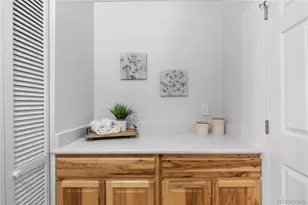 5773 S Orleans St, Centennial, CO 80015 - Photo 27