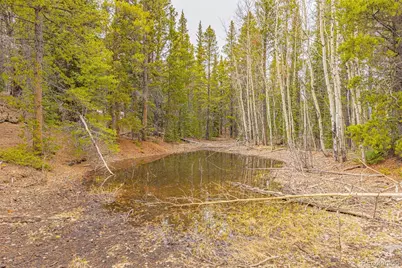 144 Crescent Road, Fairplay, CO 80440 - Photo 17