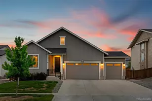 2919 Shikra Pl, Brighton, CO 80601 - Photo 1