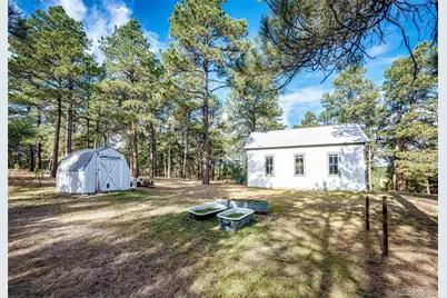 6412 County Road 82, Elbert, CO 80106 - Photo 5