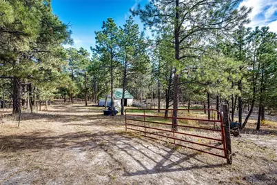 6412 County Road 82, Elbert, CO 80106 - Photo 45