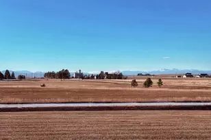 24988 Ben Kelly Rd, Elbert, CO 80106 - Photo 3