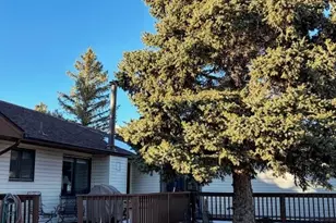 24988 Ben Kelly Rd, Elbert, CO 80106 - Photo 9