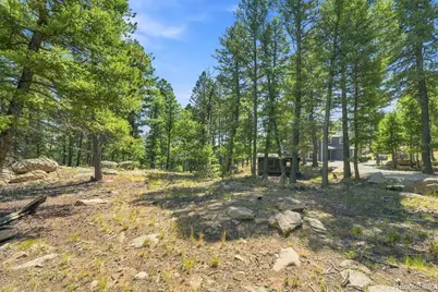 13272 Riley Peak Road, Conifer, CO 80433 - Photo 41
