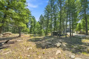 13272 Riley Peak Rd, Conifer, CO 80433 - Photo 41
