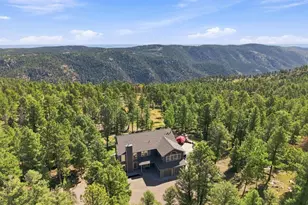 13272 Riley Peak Rd, Conifer, CO 80433 - Photo 35