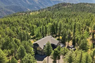 13272 Riley Peak Rd, Conifer, CO 80433 - Photo 45