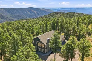 13272 Riley Peak Rd, Conifer, CO 80433 - Photo 47