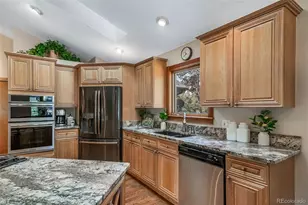 1087 Tenderfoot Dr, Larkspur, CO 80118 - Photo 15