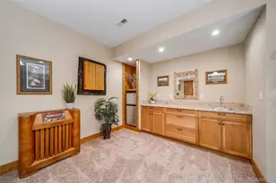 1087 Tenderfoot Dr, Larkspur, CO 80118 - Photo 29