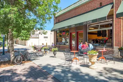 2257 Ivanhoe Street, Denver, CO 80207 - Photo 37