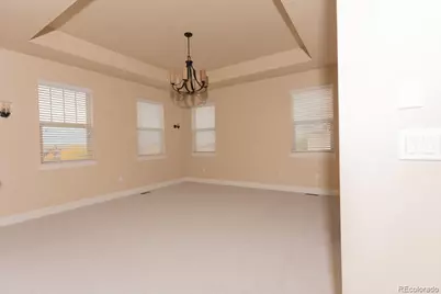 10262 Greentrail Circle, Lone Tree, CO 80124 - Photo 23