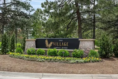 22 Borealis Way, Castle Rock, CO 80108 - Photo 39