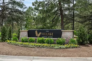 22 Borealis Way, Castle Rock, CO 80108 - Photo 39