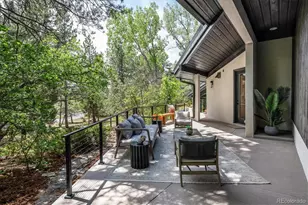 22 Borealis Way, Castle Rock, CO 80108 - Photo 13