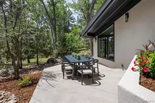 22 Borealis Way, Castle Rock, CO 80108 - Photo 17