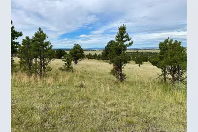 32011 Cattle Circle, Ramah, CO 80832 - Photo 3