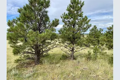 32011 Cattle Circle, Ramah, CO 80832 - Photo 7