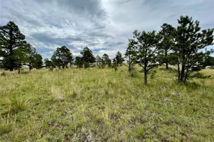 32011 Cattle Cir, Ramah, CO 80832 - Photo 1