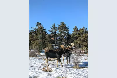 13288 County Road 261P, Nathrop, CO 81236 - Photo 35