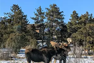13288 County Rd 261 P, Nathrop, CO 81236 - Photo 35