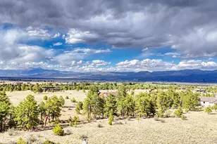 13288 County Rd 261 P, Nathrop, CO 81236 - Photo 49