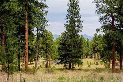 28114 Tresine Drive, Evergreen, CO 80439 - Photo 29