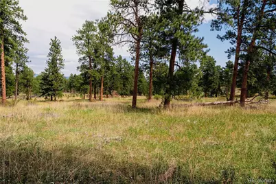 28114 Tresine Drive, Evergreen, CO 80439 - Photo 33