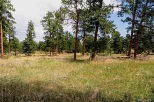 28114 Tresine Dr, Evergreen, CO 80439 - Photo 33