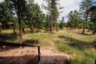 28114 Tresine Dr, Evergreen, CO 80439 - Photo 31