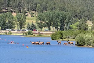 4398 Independence Trail, Evergreen, CO 80439 - Photo 47