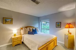 2510 Ryan Gulch Rd, Silverthorne, CO 80498 - Photo 27