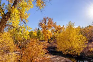 1366 S Chester St, Denver, CO 80247 - Photo 13