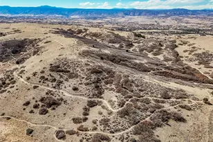 1734 Quartz St, Castle Rock, CO 80109 - Photo 47