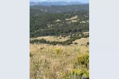 Flat Top Drive, Canon City, CO 81212 - Photo 3