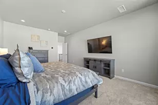 815 Simmental Loop, Castle Rock, CO 80104 - Photo 17
