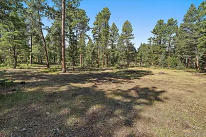 0 Evergreen Drive, Conifer, CO 80433 - Photo 1